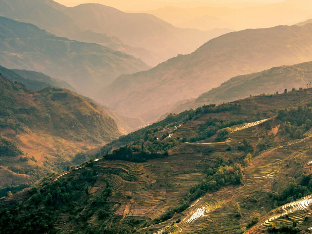 Terraced hills at golden hour, representing a sustainable apparel ecosystem and landscape
